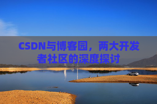 CSDN与博客园，两大开发者社区的深度探讨